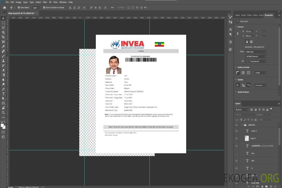 Modèle de visa électronique pour l'Éthiopie aux formats Word et PDF template Modèle de visa électronique pour l'Éthiopie aux formats Word et PDF template